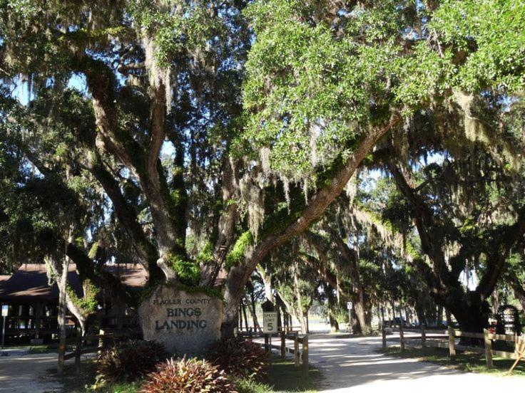Ocean Front Flagler Sleeps 5 People * Flagler Beach